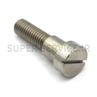 ACTUATOR MOUNT BOLT