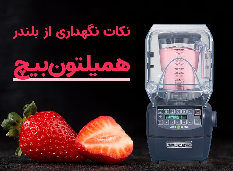 نکات نگهداری از بلندر همیلتون بیچ