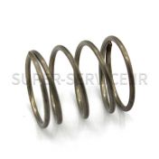 STAINLESS STEEL SPRING